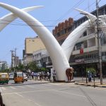 ELEPHANT TUSKS IN MOMBASA